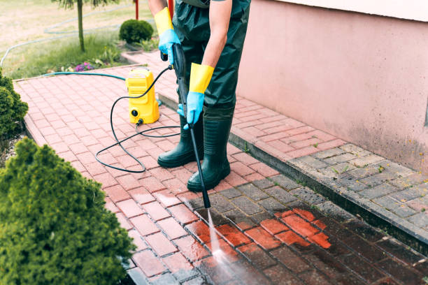 Best Roof Power Washing Services  in Dubuque, IA